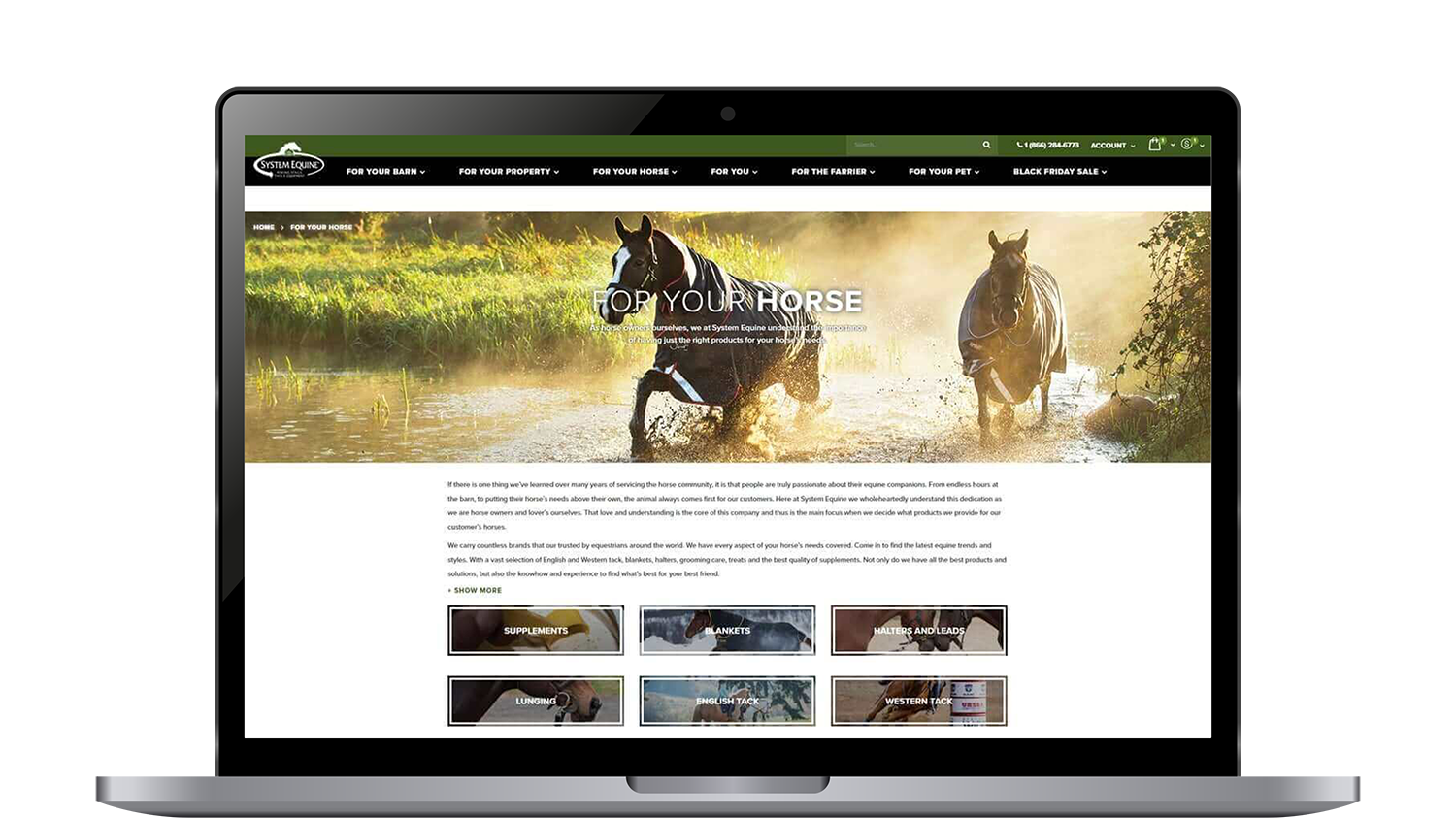 04 chevaux